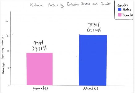 Hand-drawn sketch of a bar chart comparing violence rates by gender